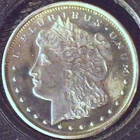 MORGAN ROUND  .999 Fine Silver   1/10 oz