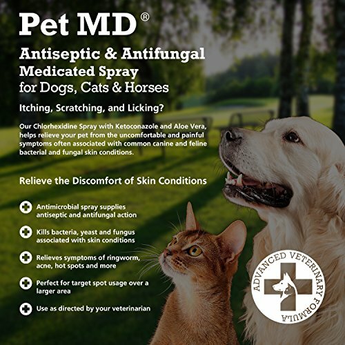 Pet MD - Medicated Spray for Dogs, Cats, and Horses with Chlorhexidine, - Picture 2 of 6