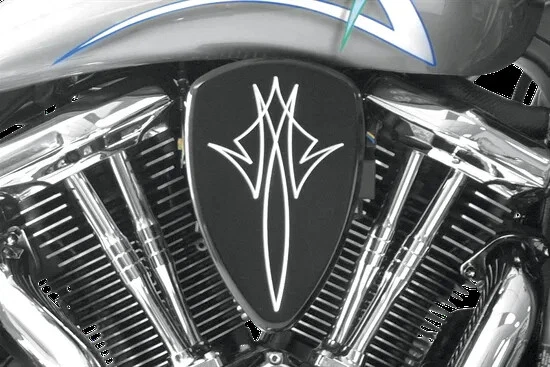 Conjunto de limpiador de aire grande Baron Pinstripe negro Yamaha V Star 1300 07-16 Foto 2 de 4