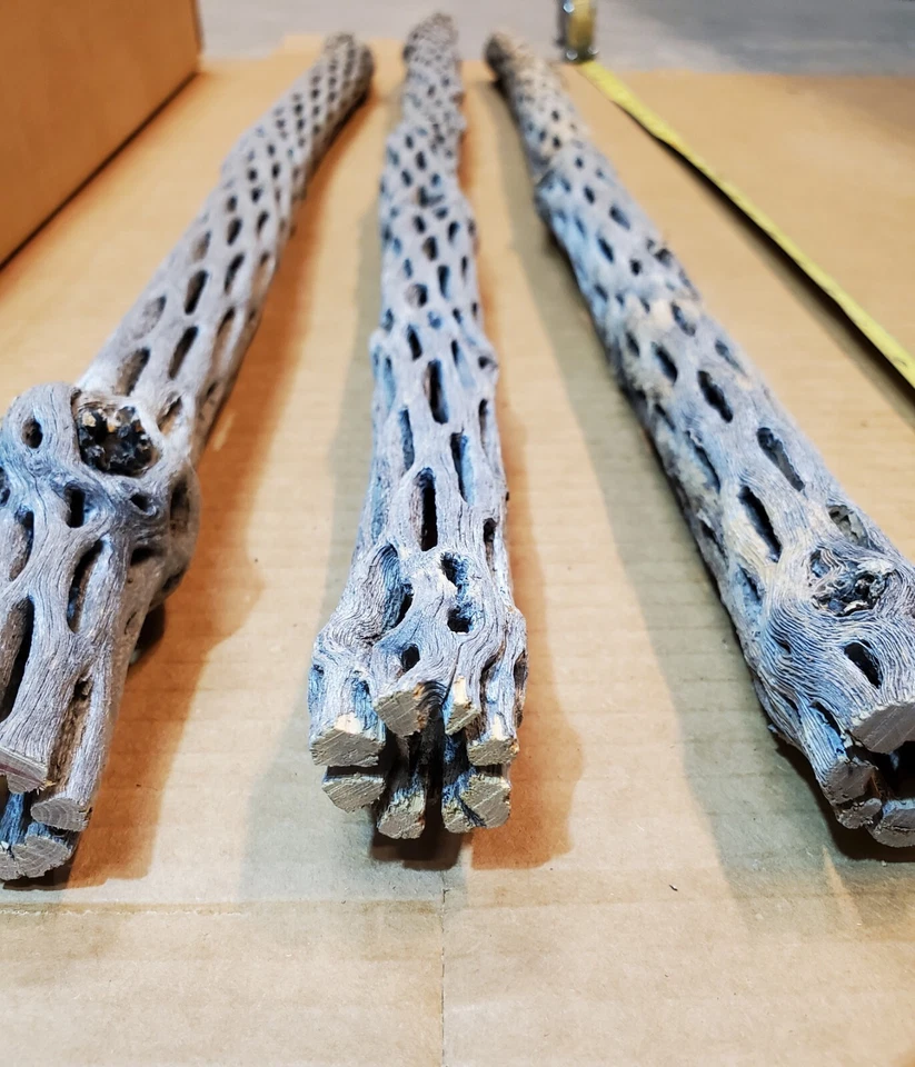 NEW! 3 CHOLLA Wood Pieces 24" inch EXTRA LONG Straight | Organic Aquarium Craft - Image 2 of 4