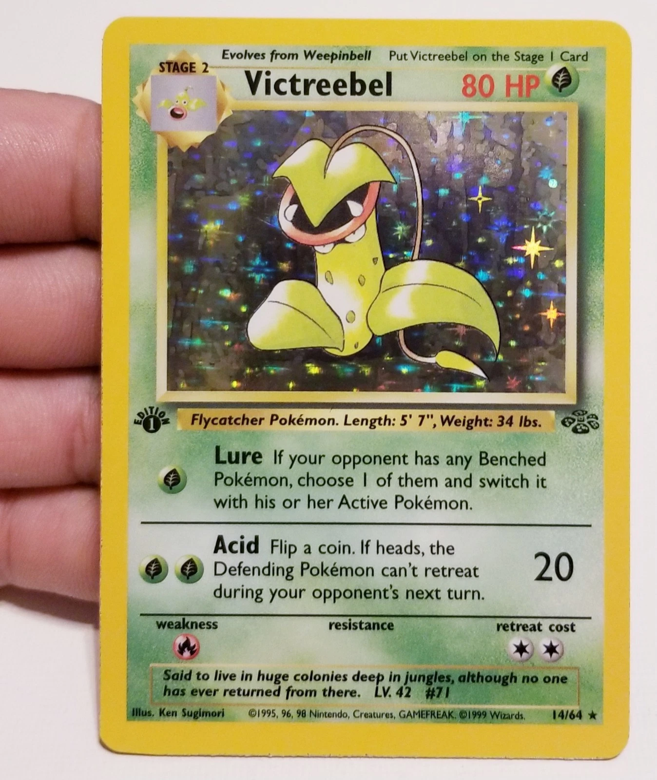 TCG POKEMON VICTREEBEL 14/64 ☆ RARE HOLO JUNGLE 1ST EDITION VINTAGE NM