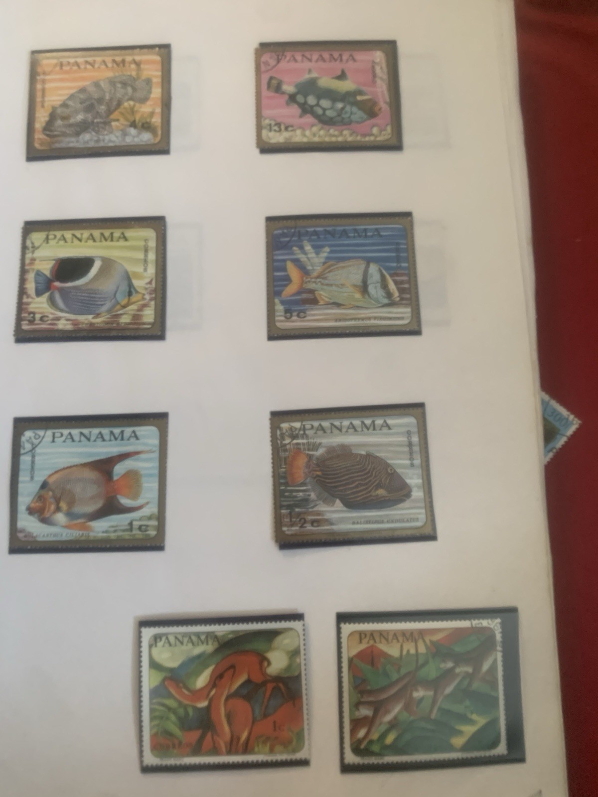 Picture 10 of 24