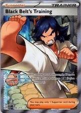 Black Belt's Training 255/217 Ultra Rare Ascended Heroes Pokemon Holo Near Mint