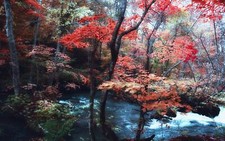 Landscape nature maple leaves trees river japan forest Custom Gaming Mat Desk