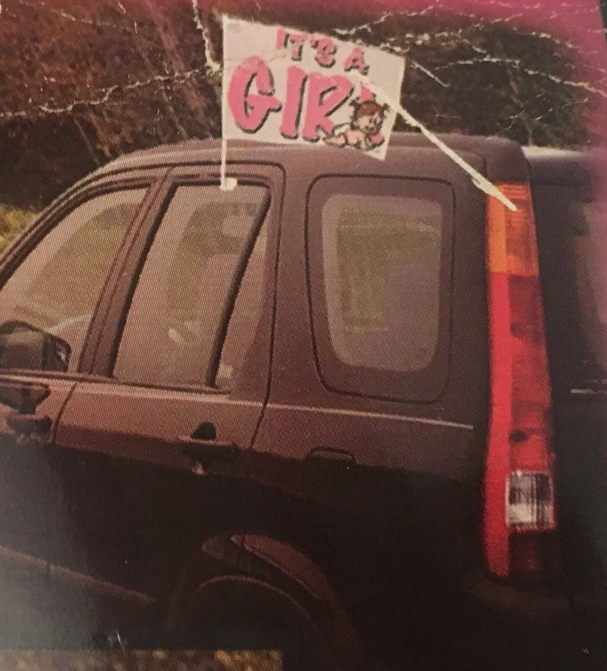 It's A Girl 2 Caras Coche Vehículo Bandera Montaje Ventana Clip Género Fiesta Baby Shower Foto 3 de 4