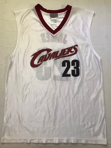 lebron white cavs jersey