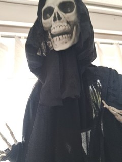 Halloween Skeleton
