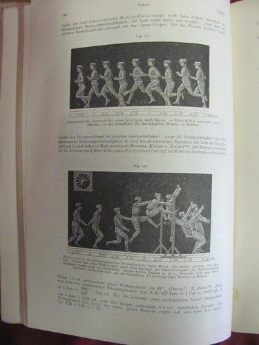 ANTIQUE 1919 GERMAN MEDICAL HARDCOVER BOOK – HUMAN PHYSIOLOGY vol II - Picture 10 of 14