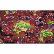 Diamond Dotz Diamond Dotz Squares: Succulents