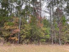 (3 Acre) Vacant Lot For Sale In Union Parish, LA