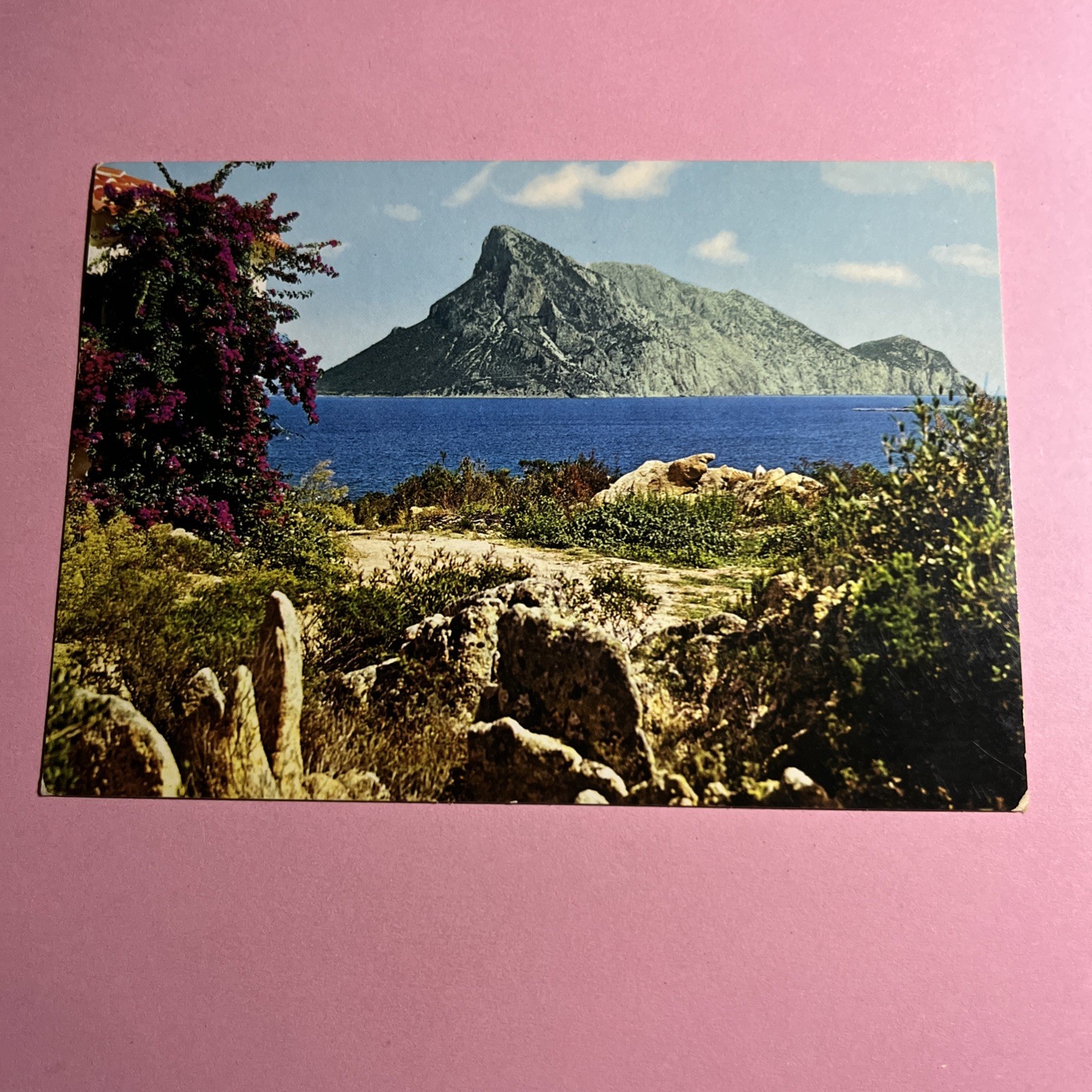 CARTOLINA A COLORI COLLEZIONE - S. TEODORO SARDEGNA - CODA CAVALLO