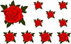 Painted Rose Flower Stickers Decals Graphics Nursery Wall  Decoration Art Home