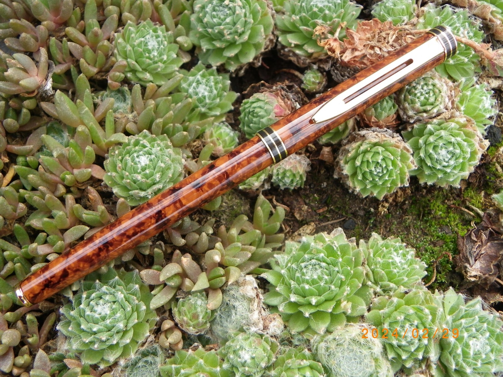 Stylo plume Waterman Exclusive Red Ripple ondulatio neuf de stock avec détails dorés