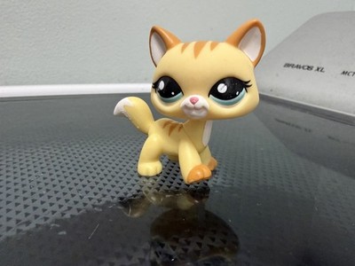 Hasbro Littlest Pet Shop Generation 2 Maine Coon cat 2034 LPS