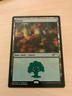Forest - FOIL - MagicFest Promo Basic Land MTG Magic Sam Burley 2019 Grand Prix
