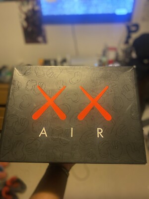 Size 10 - Jordan 4 Retro x KAWS Cool Grey 2017