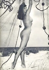 Bettie Page 348. 8x10 photo.