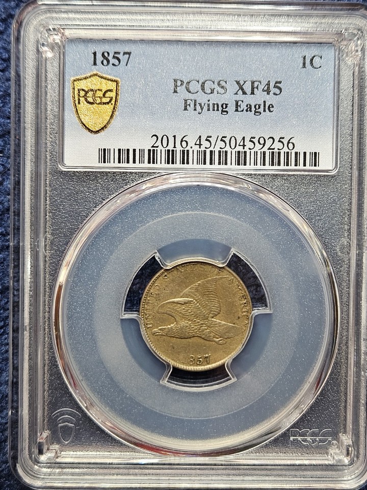 1857 Flying Eagle Cent PCGS XF45. Gold Shield Label eBay