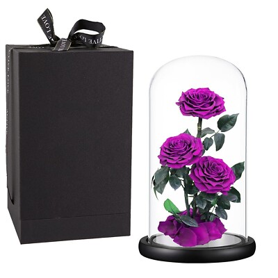 Purple Roses Handmade Preserved Real Rose in Glass Dome, Long Lasting Roses N...
