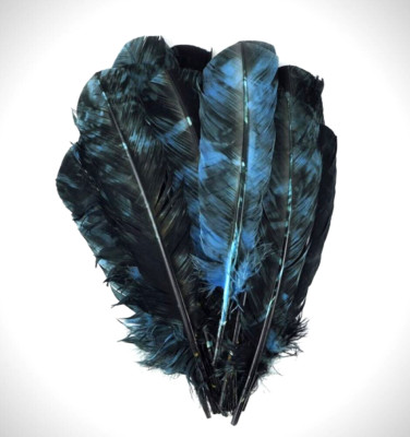 Black-Blue Mottled Turkey Wing Quill Feathers Rounds Smudge Pow Wow 12 Pcs 12''  