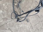 Picture 5 of 7