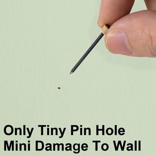 Picture Frame Hangers Hooks with Nails 10 Pack