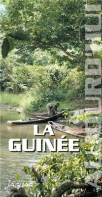 Grand Plat Ovale En Inox Letang Rémy – Qualité Pro – Occasion