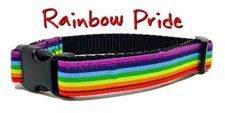 Rainbow Pride dog collar handmade adjustable buckle collar 5/8" wide or leash 