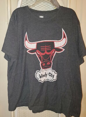 VINTAGE STYLE CHICAGO BULLS WINDY CITY NBA BASKETBALL T-Shirt BIG TALL  2XL
