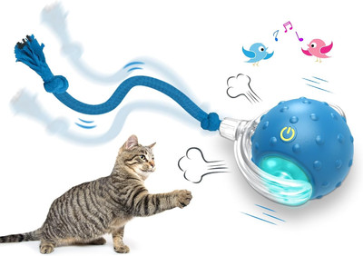 Interactive Cat Toys Ball for Indoor Cats Fast Rolling on Carpet, Chirping & Mot