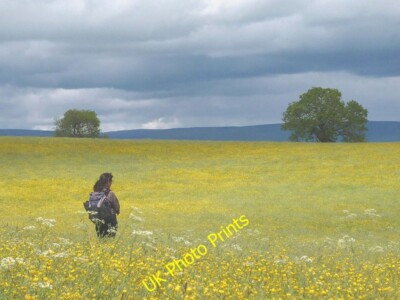 Photo 6x4 Et in Arcadia ego Crosby Ravensworth The path isn't always c2015