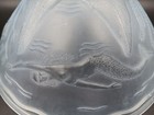 Bild 8 von 24