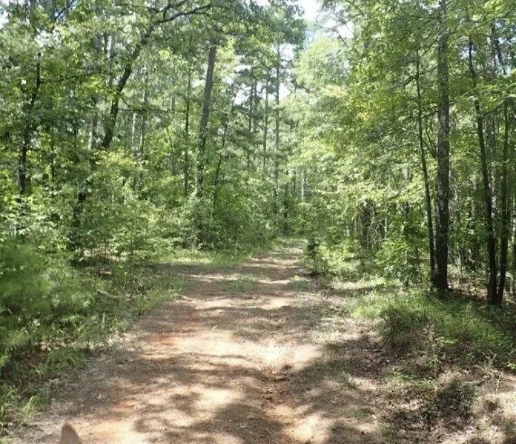 Land For Sale Fairfield Bay Arkansas 14374.8 Square Feet Of Buildable