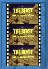 Beast From The Beginning of Time , The [DVD]