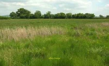 Photo 6x4 Field east of Todber Manor Fisheries Margaret Marsh From the sa c2016