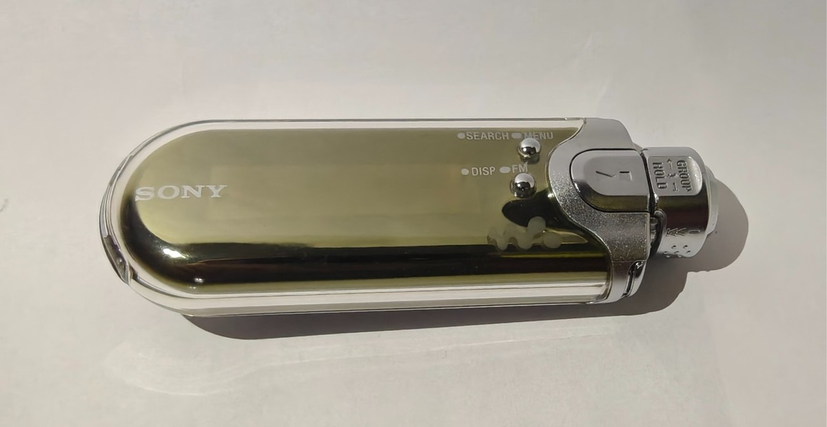 Sony Walkman NW-E507 Silver ( 1 GB ) Digital Media Player for sale