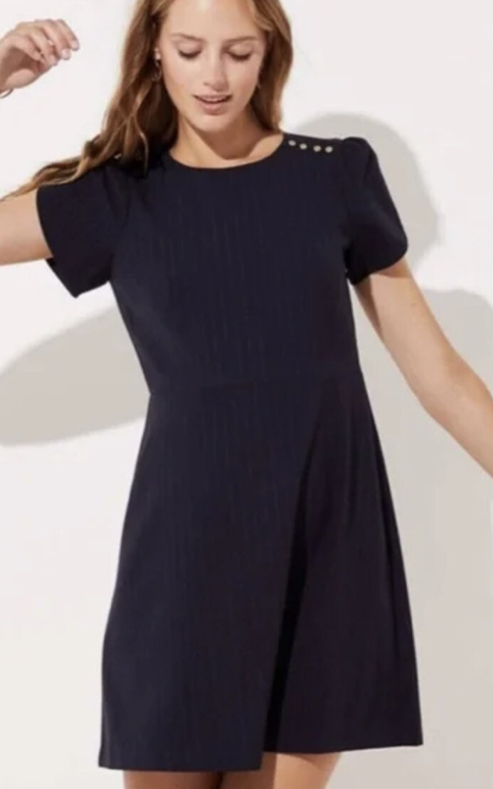 ann taylor loft fit and flare dress Shop Ann Taylor LOFT clothing and handbags at SilkRoll. Trade with us! main image 1