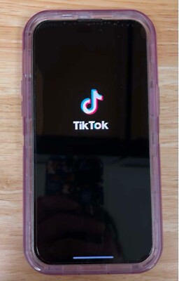 iPhone 14 Pro Max 256GB (with TikTok)