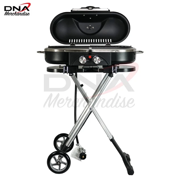 Portable Picnic BBQ Grill