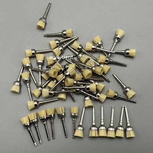 Spazzole per profilazione dentale tazza lucidatura piatta profilassi tipo chiusura setole spazzola - Foto 5 di 9