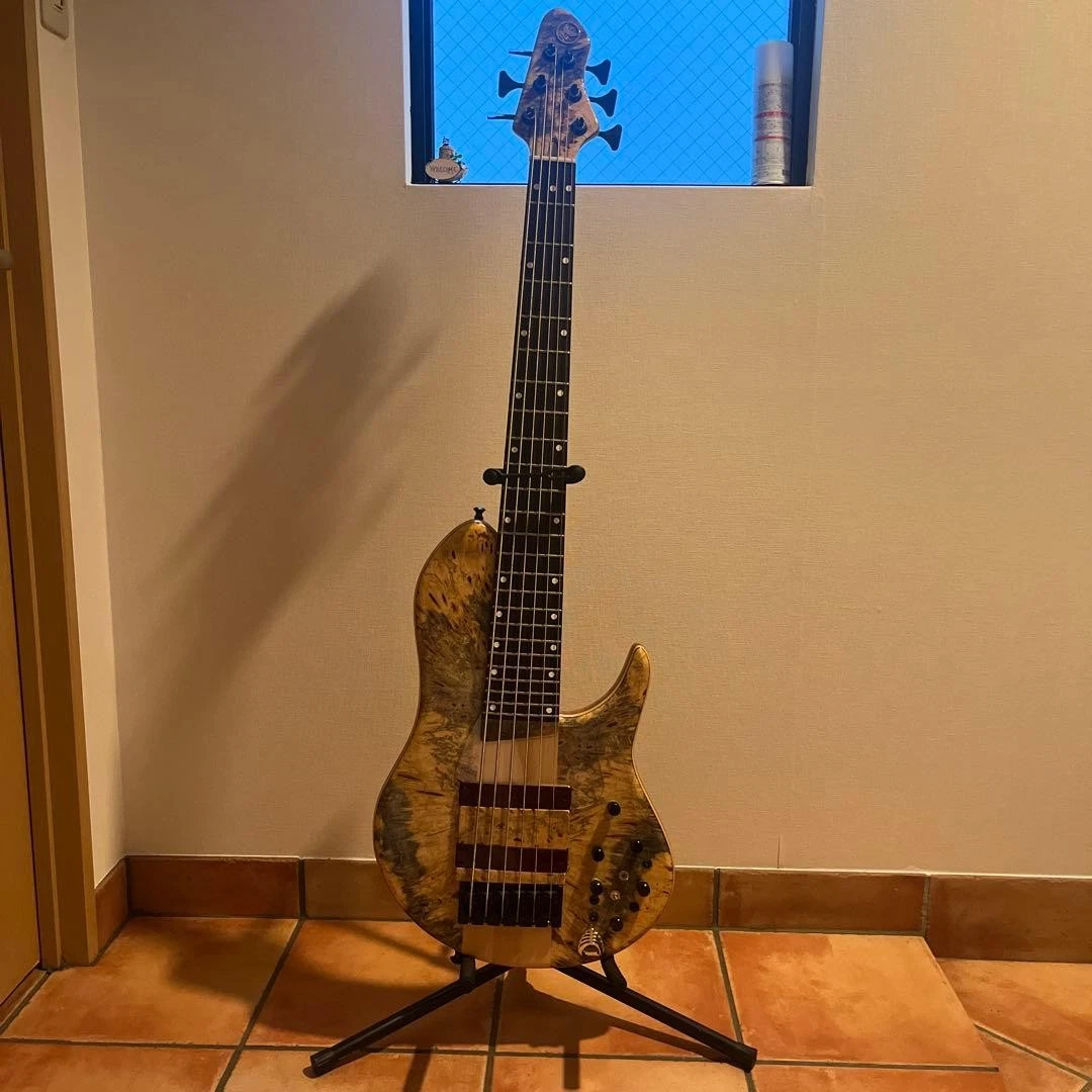ベース Phoenix/PHS-6 SC Buckeye Burl Phoenix PHS-6 SC Buckeye Burl Electric Bass Guitar | eBay