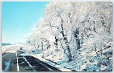 Blue Ridge Parkway Winter Scene Near Mount Mitchell NC Postcard K-63