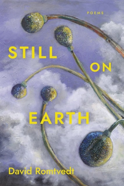 Still on Earth by David Romtvedt PAPERBACK 9780807183960
