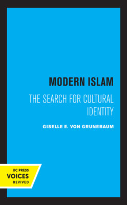 Modern Islam: The Search For Cultural Identity