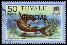TUVALU O15 - Hammerhead Shark 