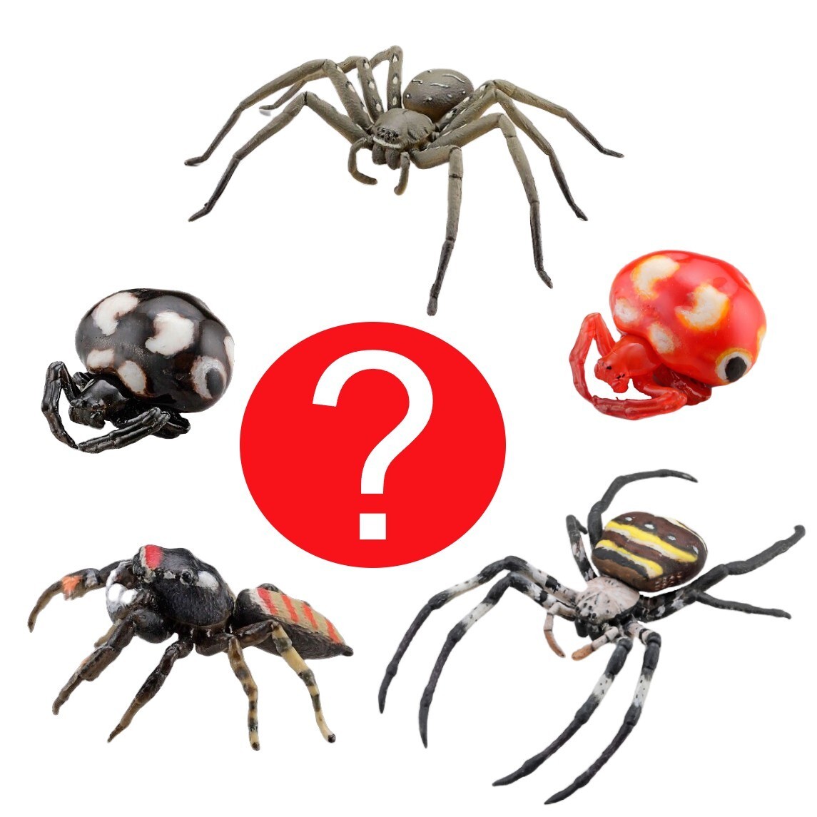 山*賊様 300円スタート！ CUSTOM BORDERLESS 《SPIDER Japanese Blind Box Realistic Spider Animal Insect Figure 1 Random
