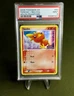 Torchic