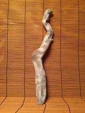 Beautiful 15  DRIFTWOOD Piece Terrarium Taxidermy Aquarium Beach Wood DECOR Art