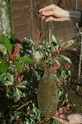 Bild 2 von 9