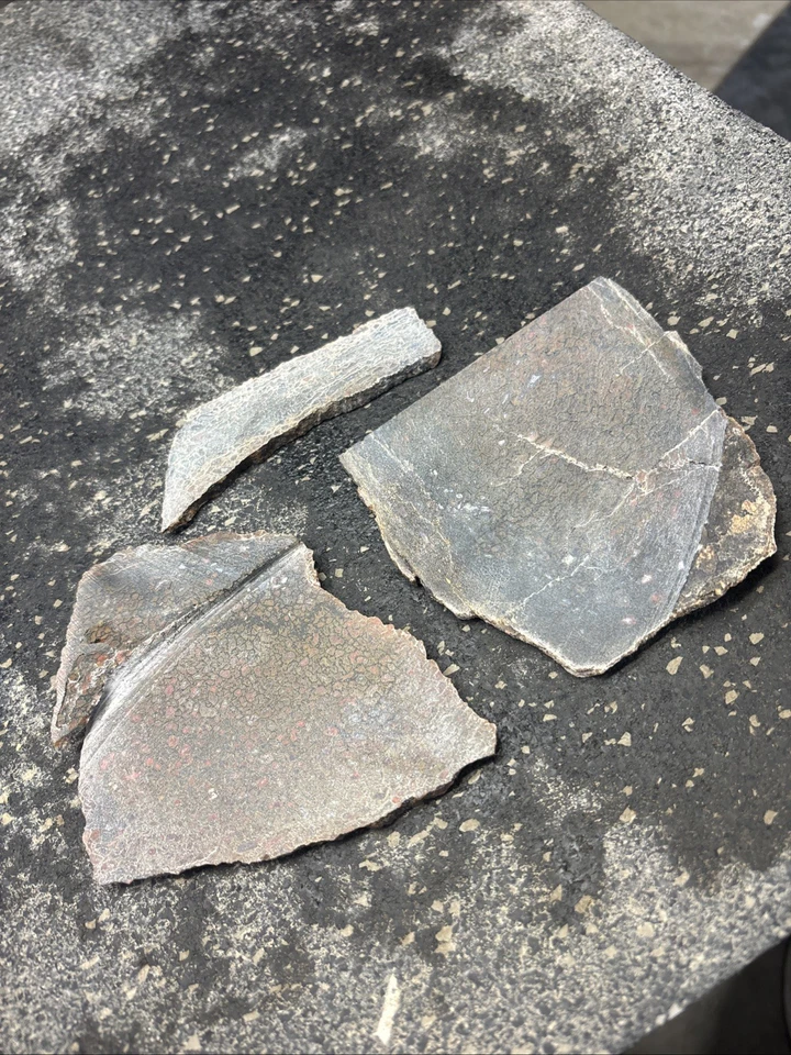 Agatized Dinosaur Bone Slab ~ Gem Agate Dino Bone Slab Quality Translucent - Image 3 of 4